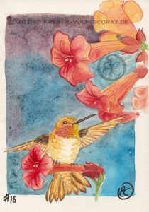 Kolibri mit Blume